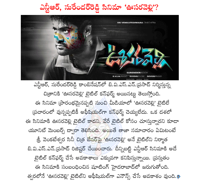 ntr latest movie,ntr and surender reddy combo movie,ntr latest movie oosaravelli,oosaravelli title registered for ntr movie,oosaravelli producer b.v.s.n. prasad  ntr latest movie, ntr and surender reddy combo movie, ntr latest movie oosaravelli, oosaravelli title registered for ntr movie, oosaravelli producer b.v.s.n. prasad